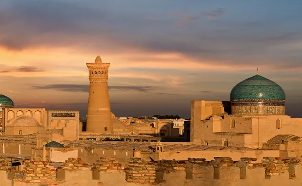 乌兹别克斯坦海关数据查询平台（附免费试用查询名额)